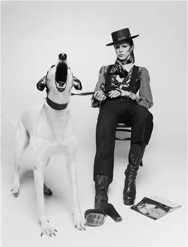 ONeill David Bowie Diamond Dog 1974 v