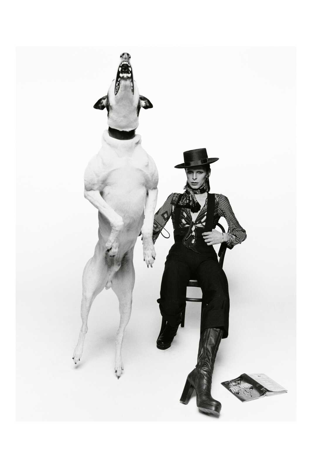 ONeill David Bowie Diamond Dogs 1974