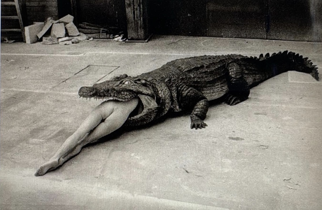 Helmut Newton — Crocodile Eating Ballerina (Pina Bausch, Wuppertal, 1983)