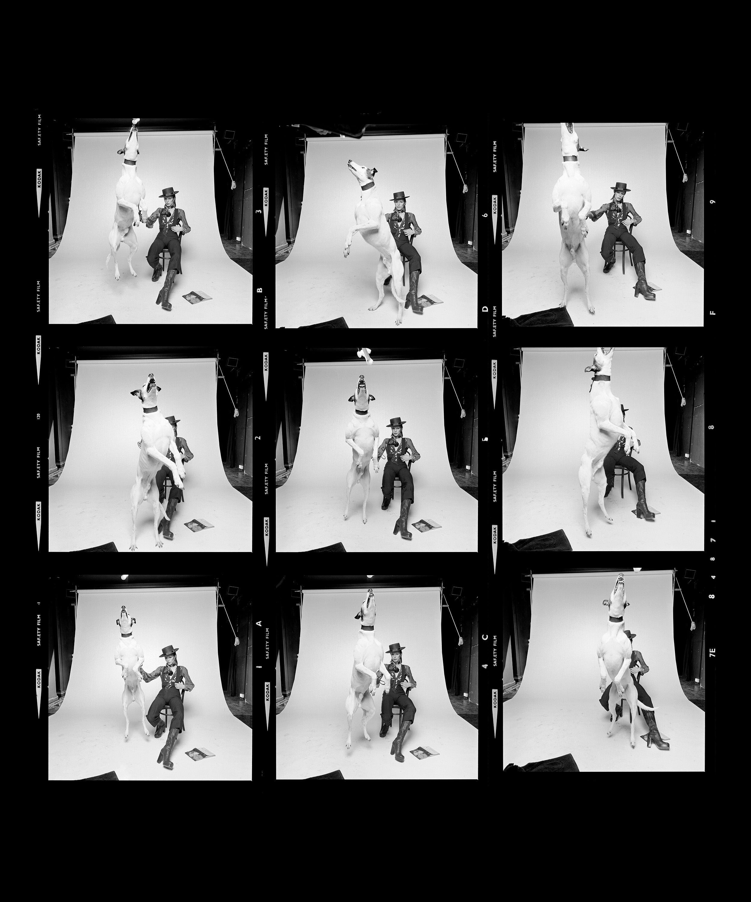 David Bowie Diamond Dogs contact sheet, 1974