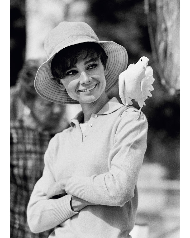 Audrey Hepburn and a dove, 1966